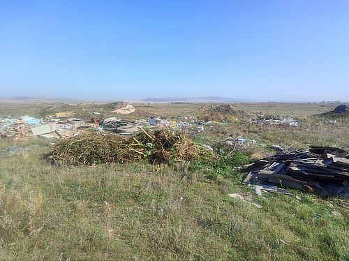 Фото пресс-службы Россельхознадзора по Хакасии и Туве